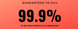 99.9% of all bacteria