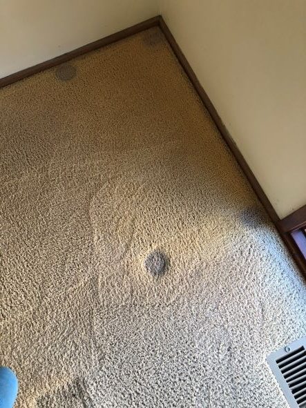 What Happens If You Put Furniture On Wet Carpet?